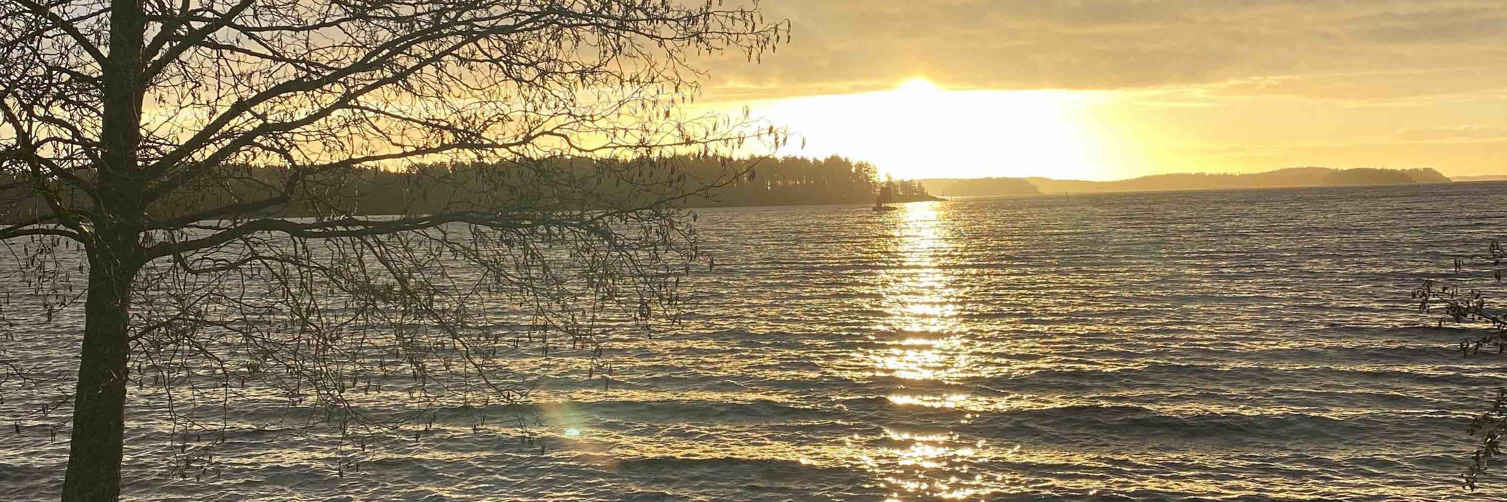 Salla Luomanmäki