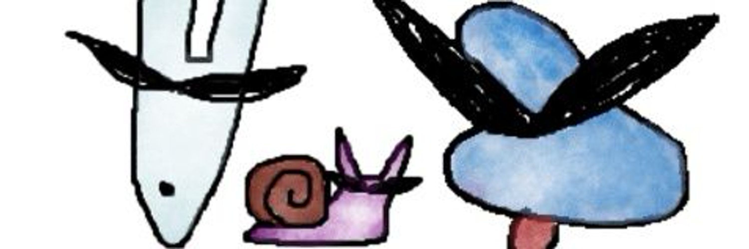 boshi's place