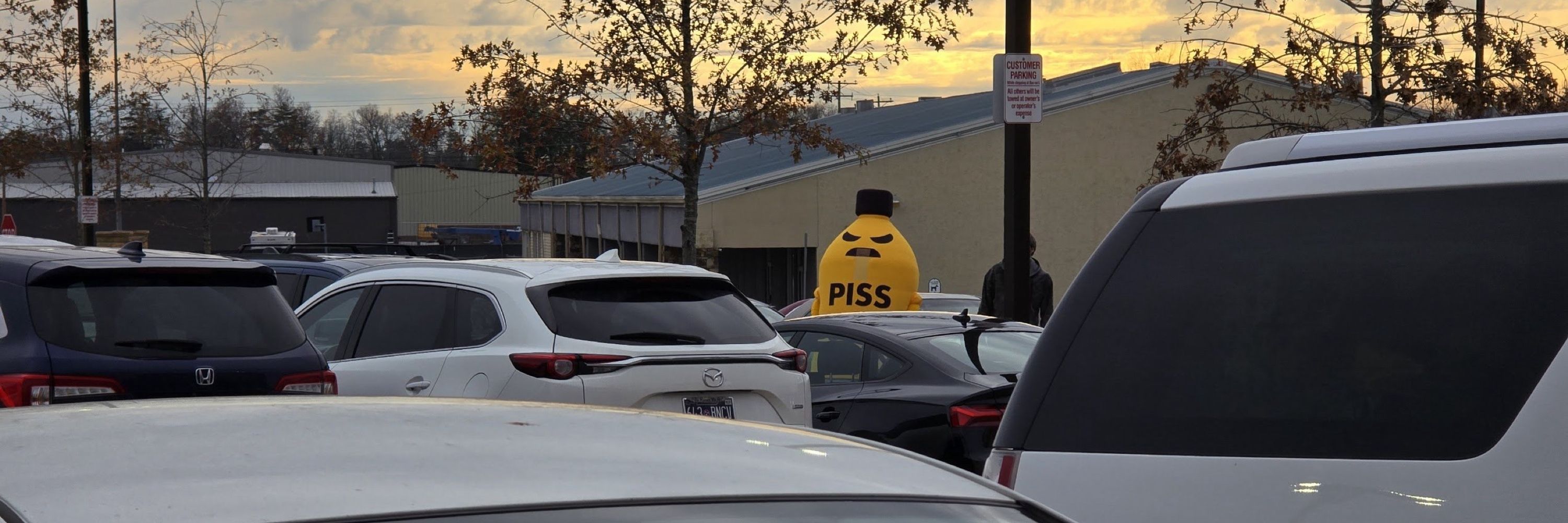 Piss Wizard