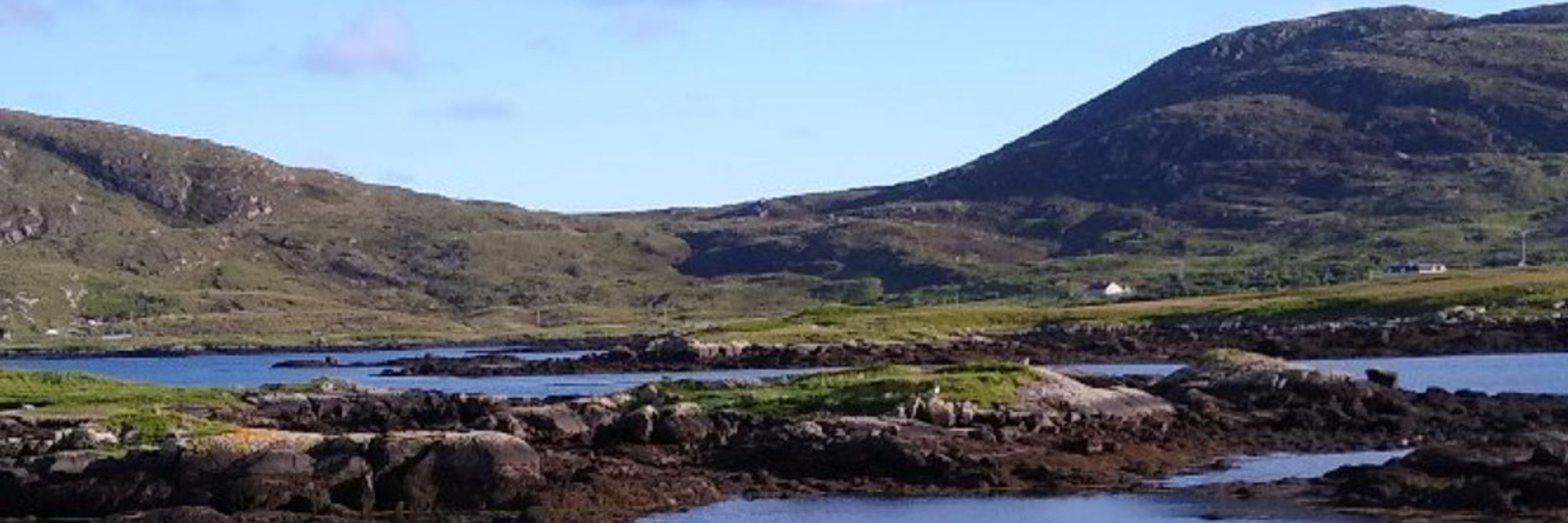 David Johnston-Smith