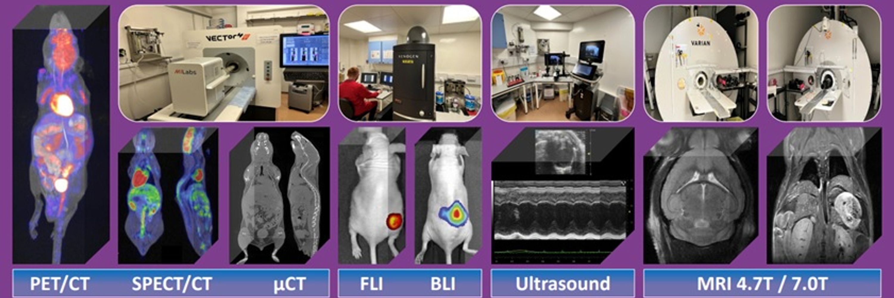 OCAPI (Oxford Centre for Advanced Preclinical Imaging)