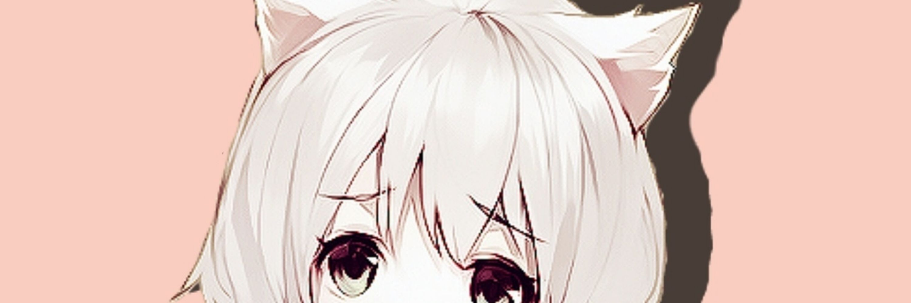 🤍🪽猫にゃboii🤍🪽