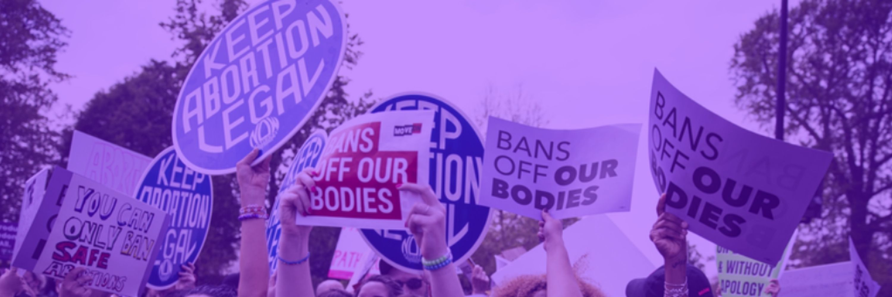 Florida Feminists - National Organization for Women