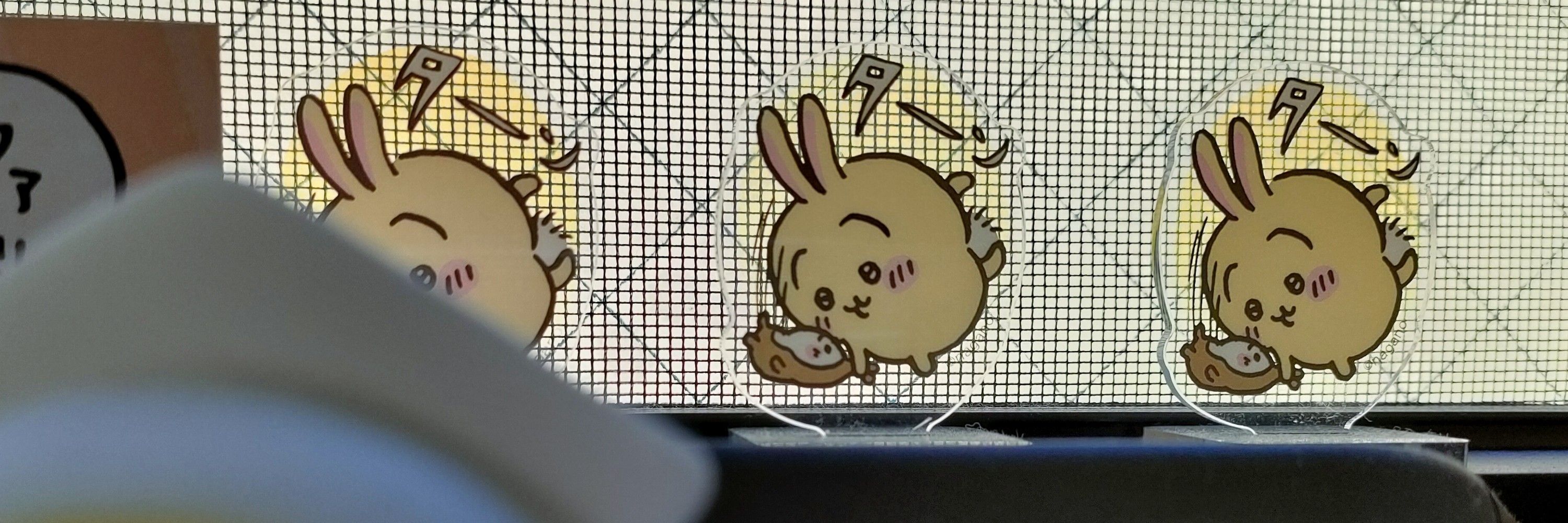 うさこ　ξ   :3ꇤ　)₃