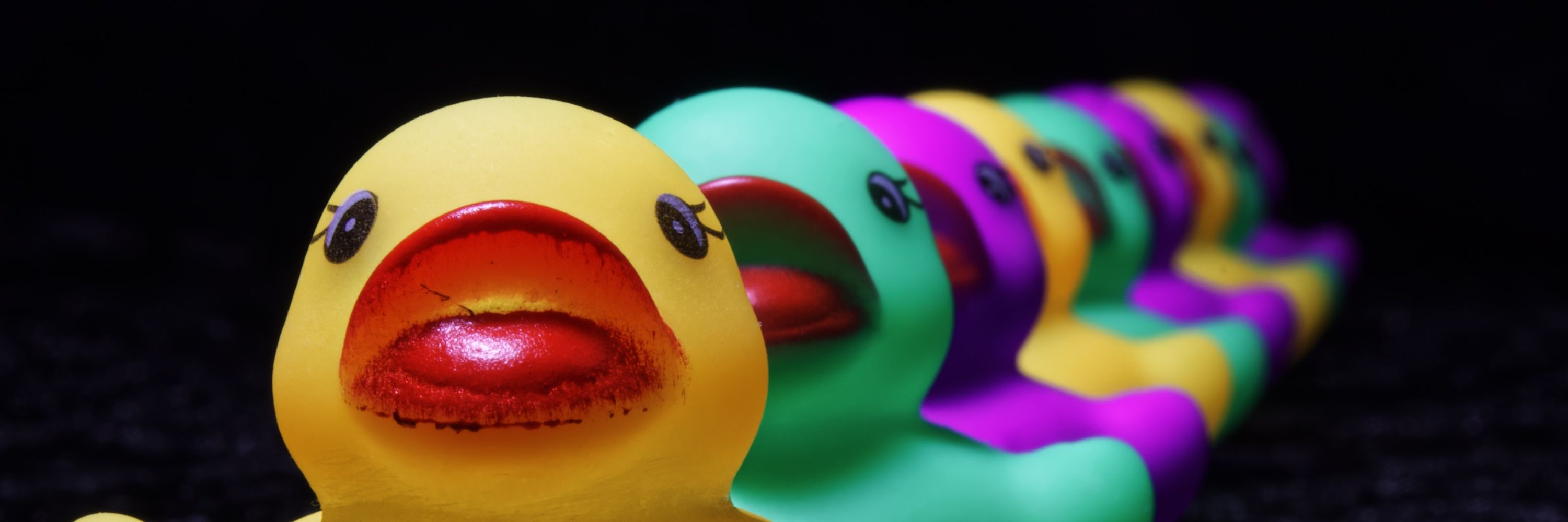 Whimsical Duck