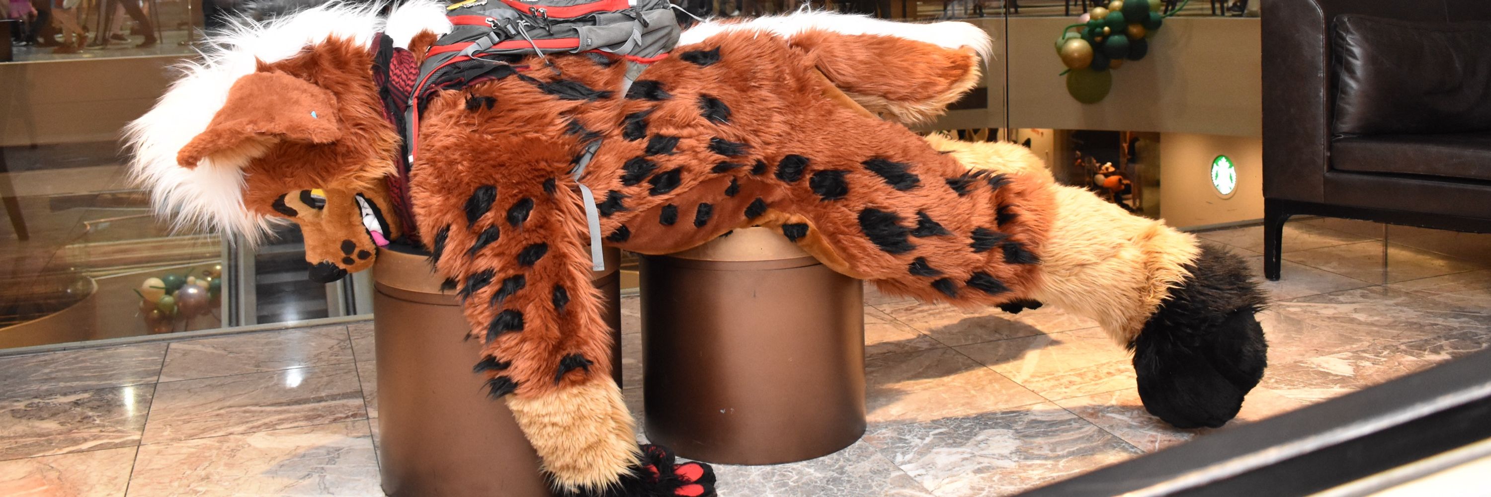 Derpwuff