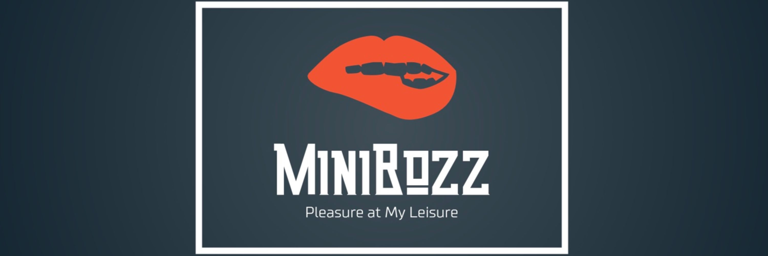 MiniBozz