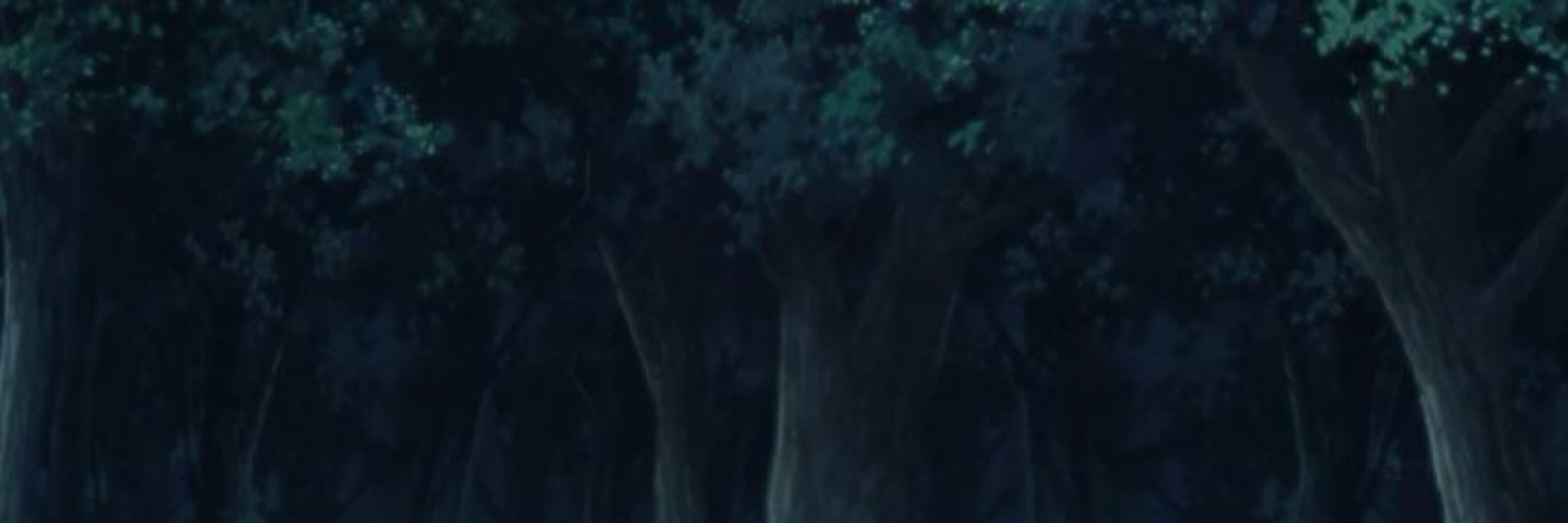𝑅𝐼𝑁 .ᐟ