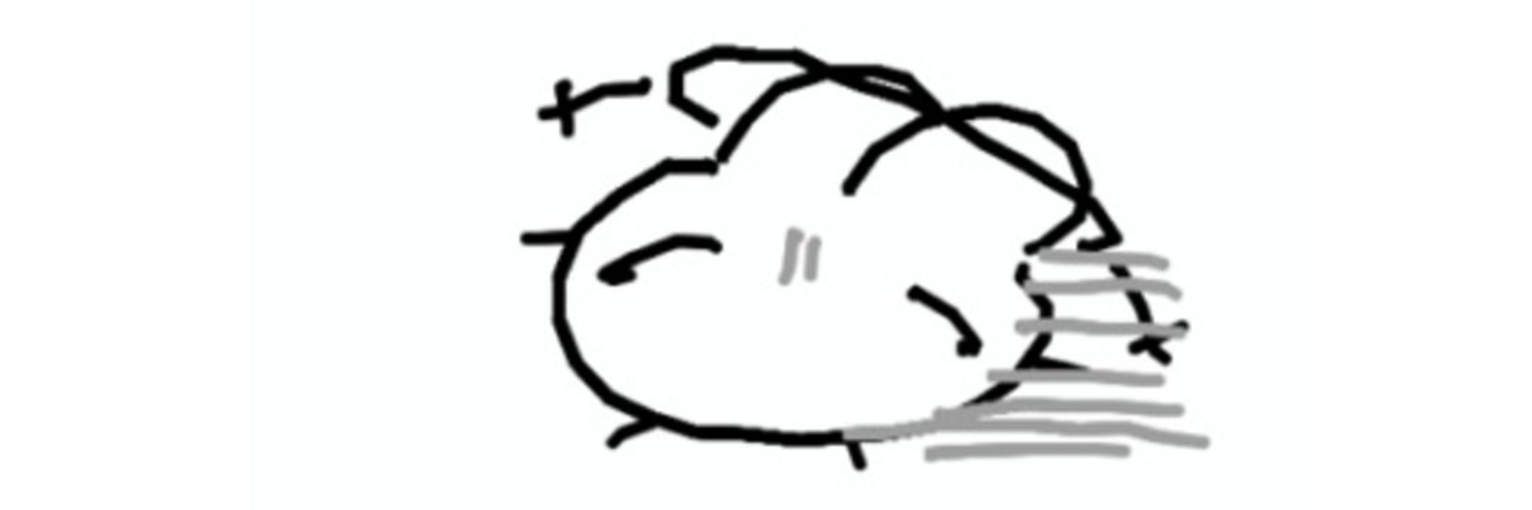 김응애