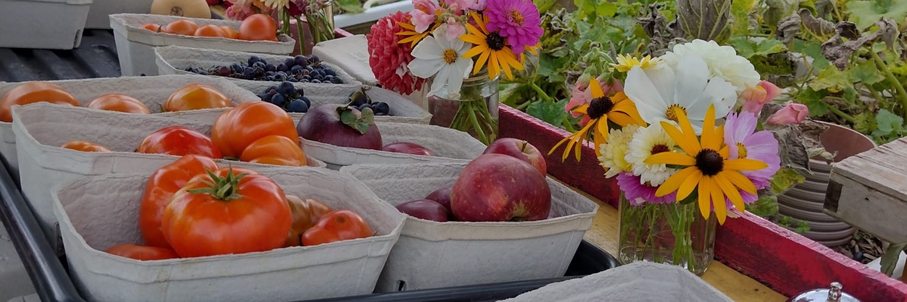 Worcester Community Garden