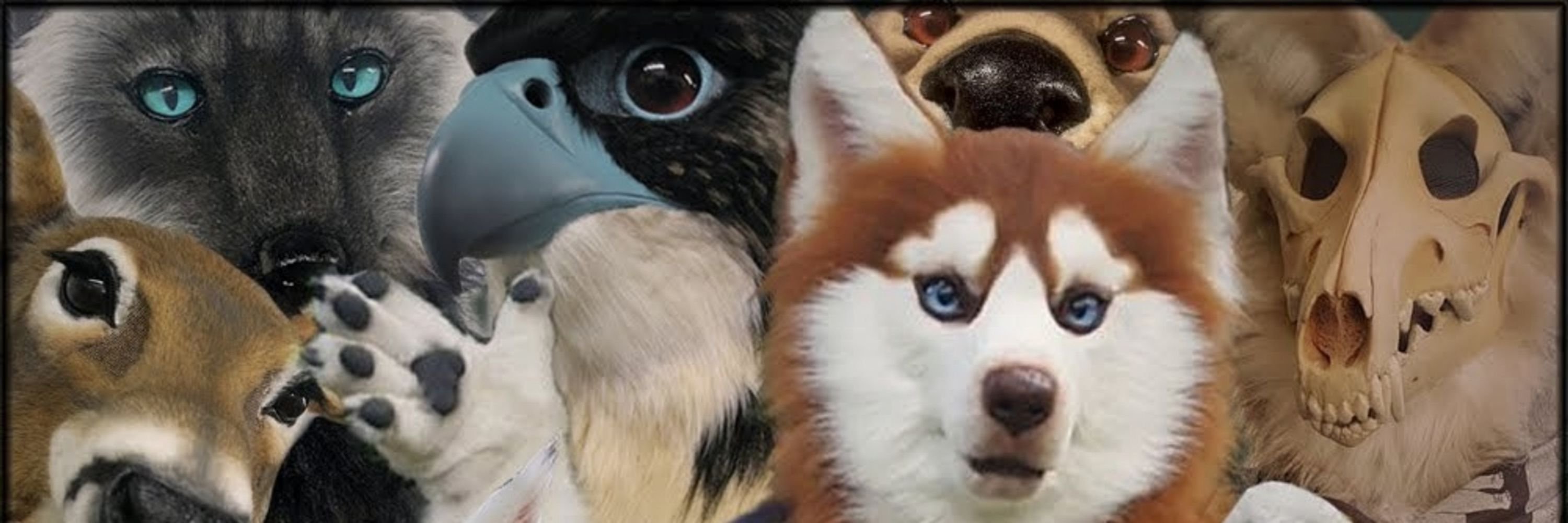 Brushwolf Studio
