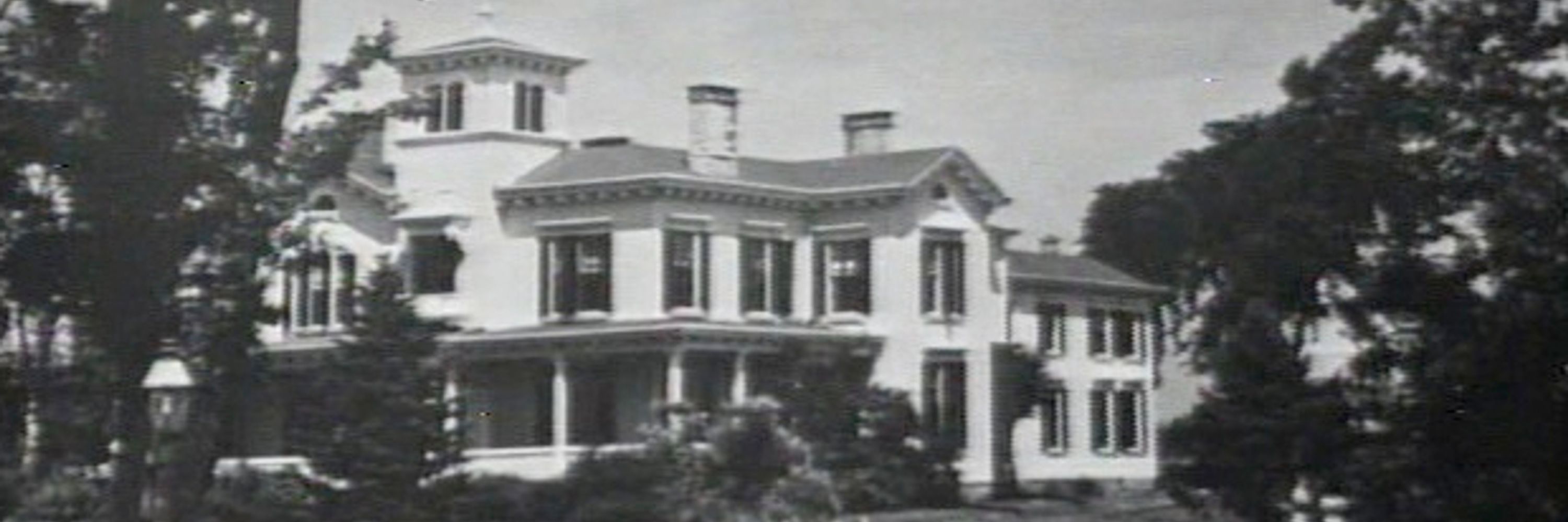 Dr. Julia Hoffman