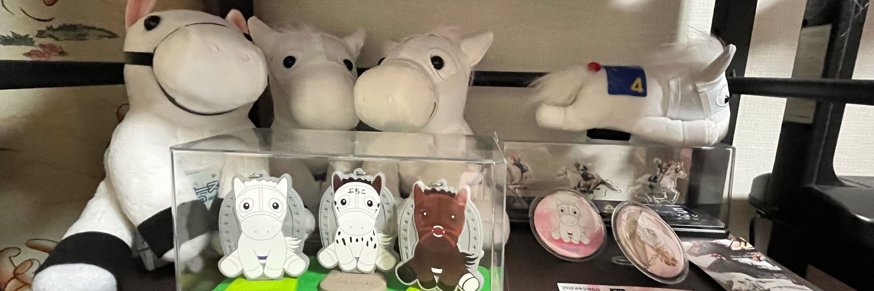 もぎ🐰🐴