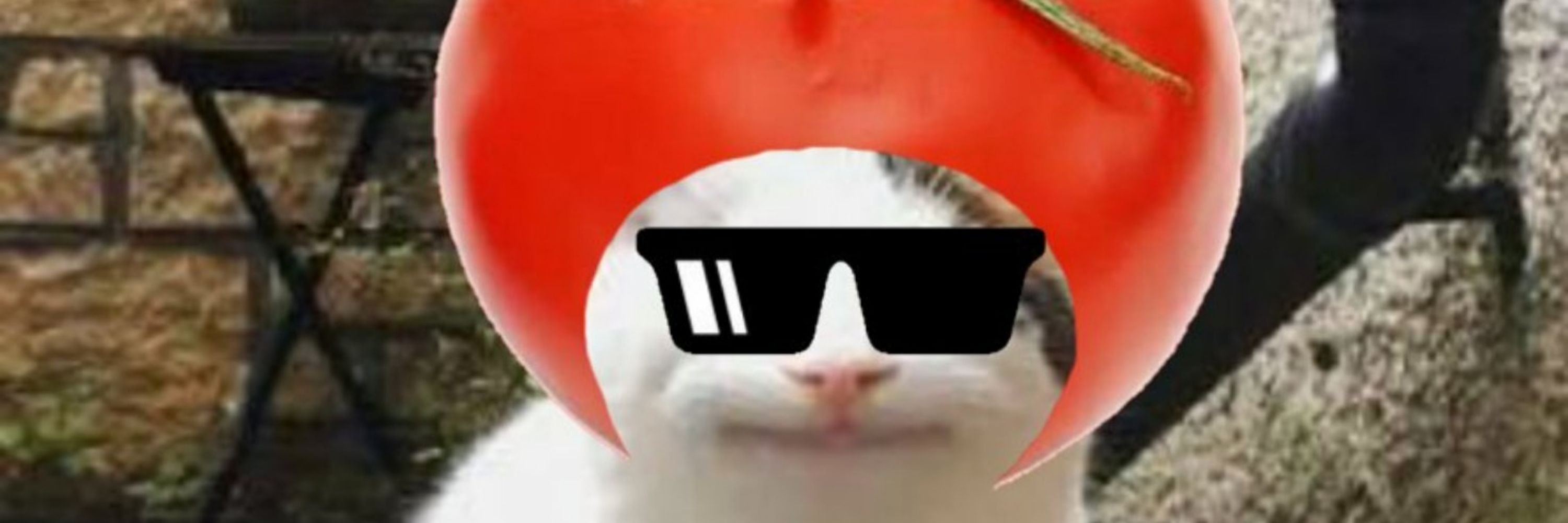 とめいとぅ🍅