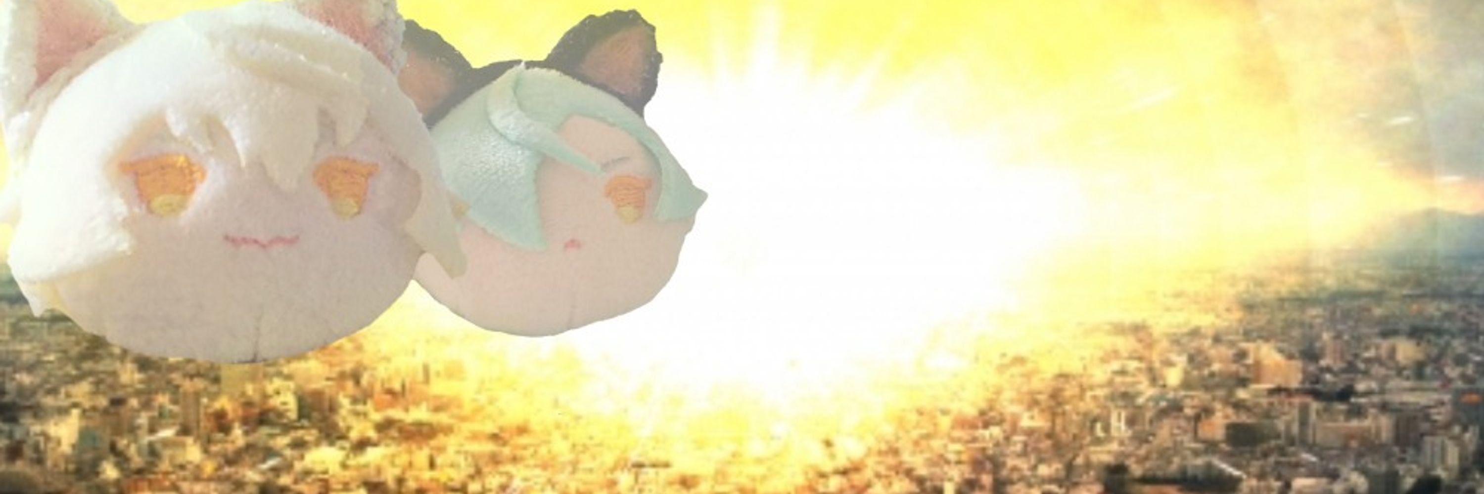 ころも🐣