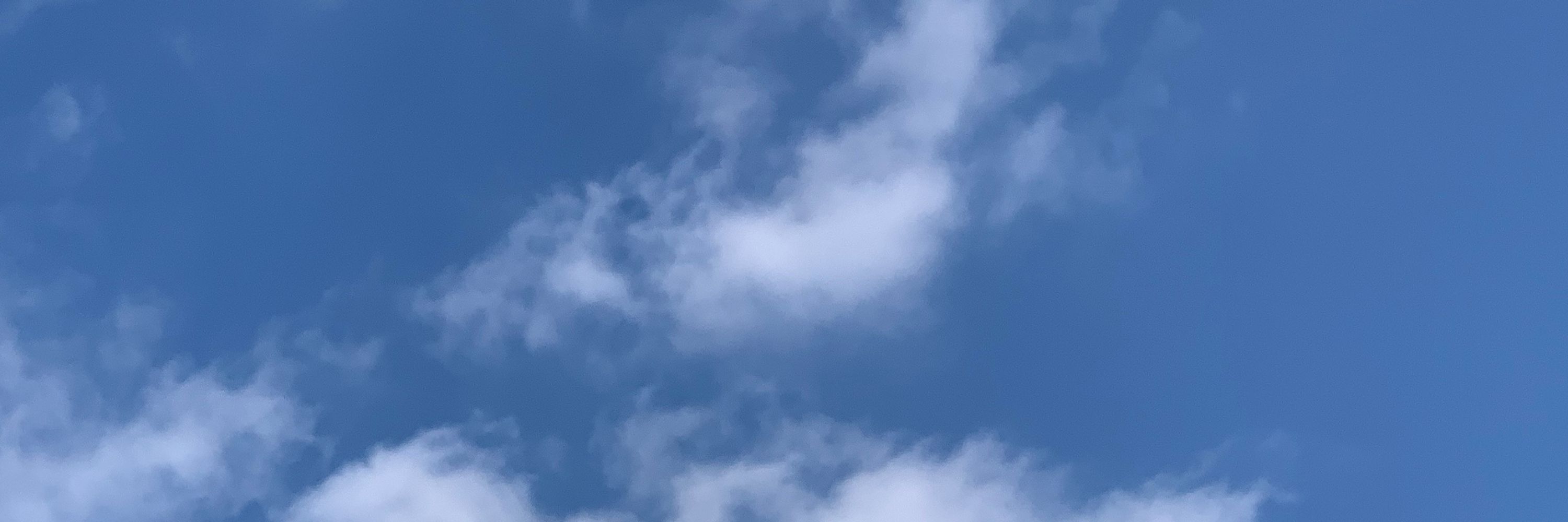 さち