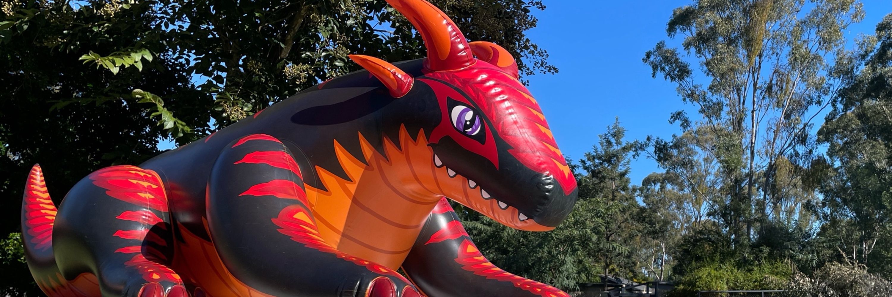 Dat dragon