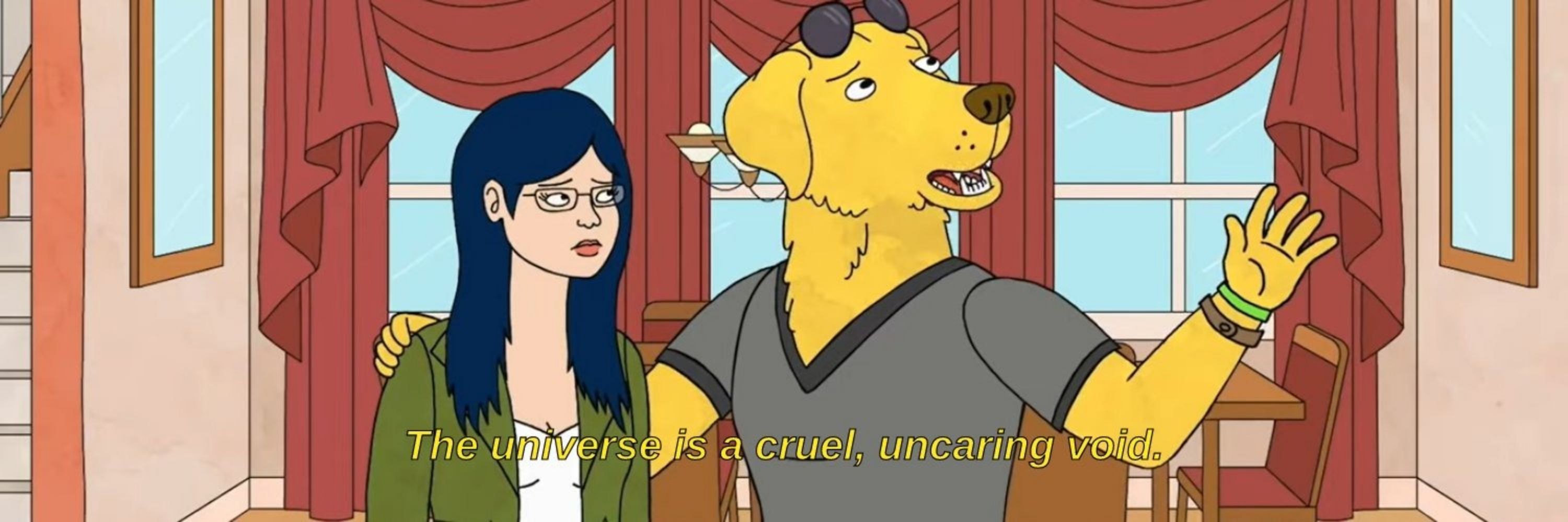 cachorrinho pássaro 
