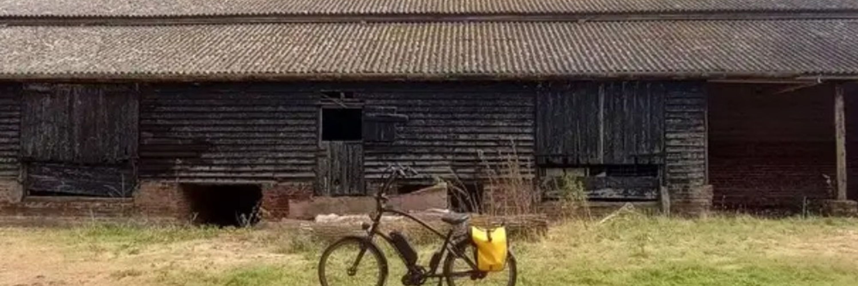 2 Wheeled Wolf