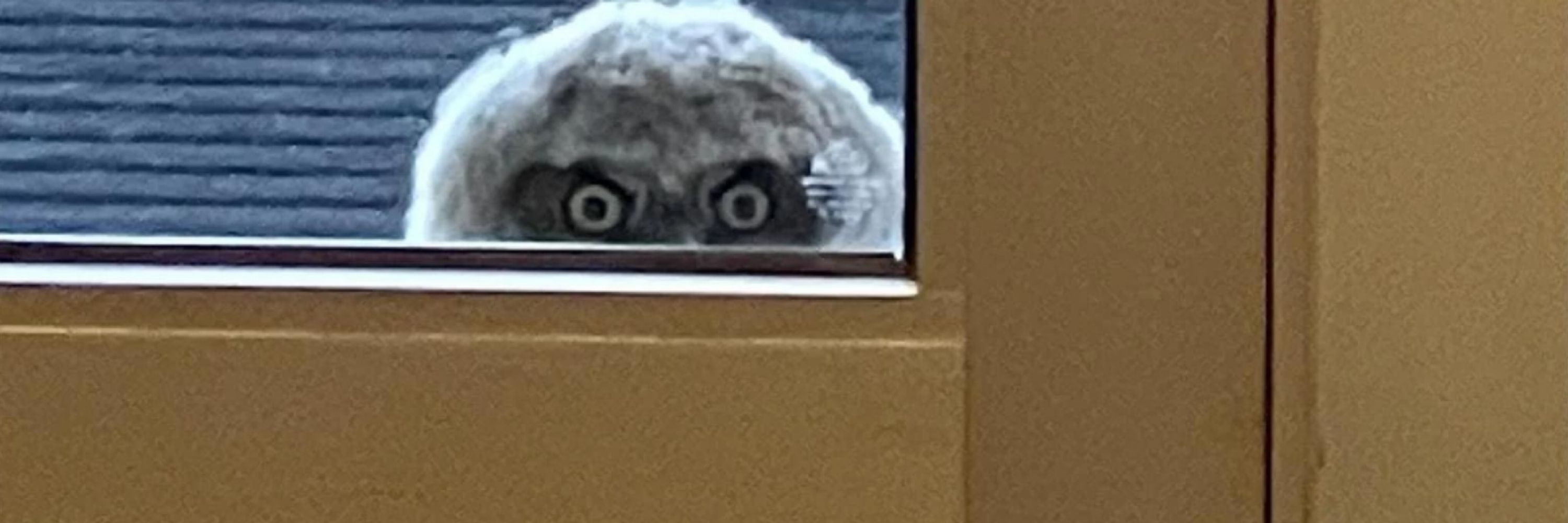 Walter