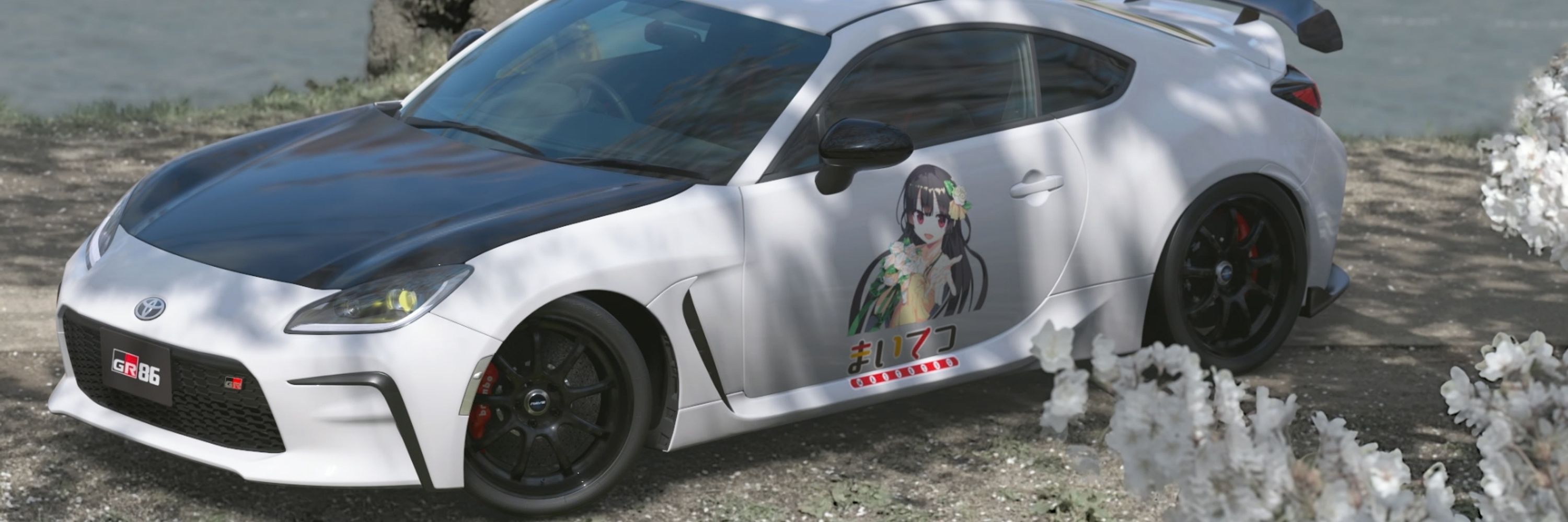 レイドット