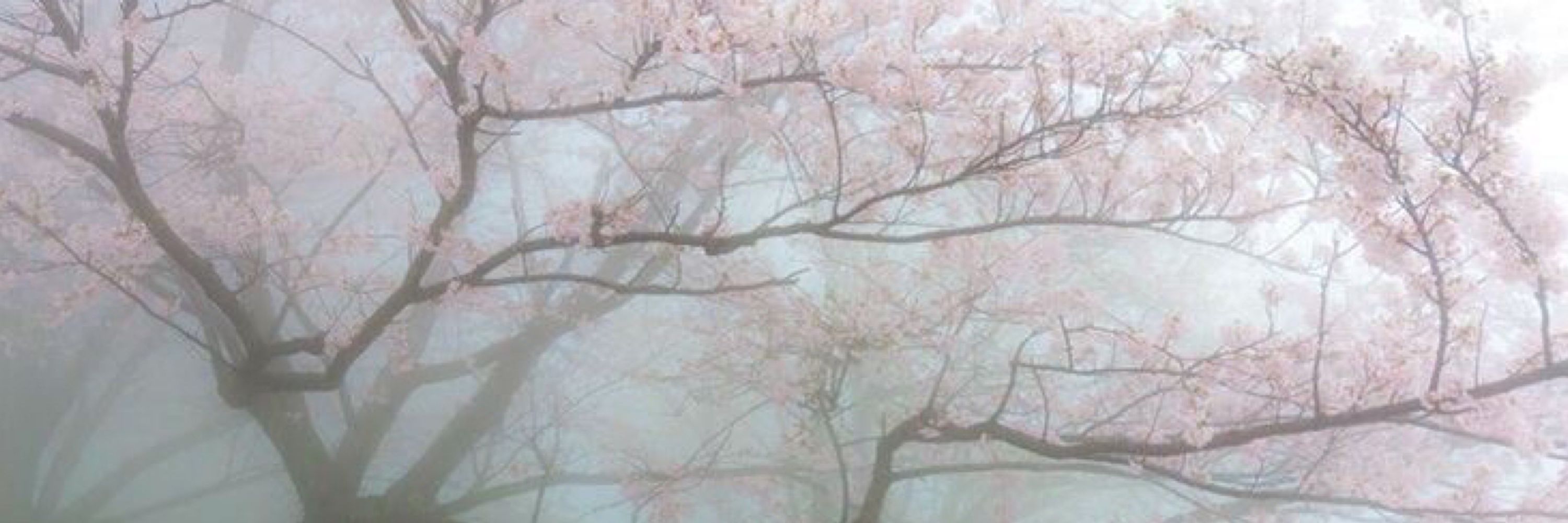 𝒋𝒖˚˖𓍢ִ໋🌷͙֒✧˚⋆