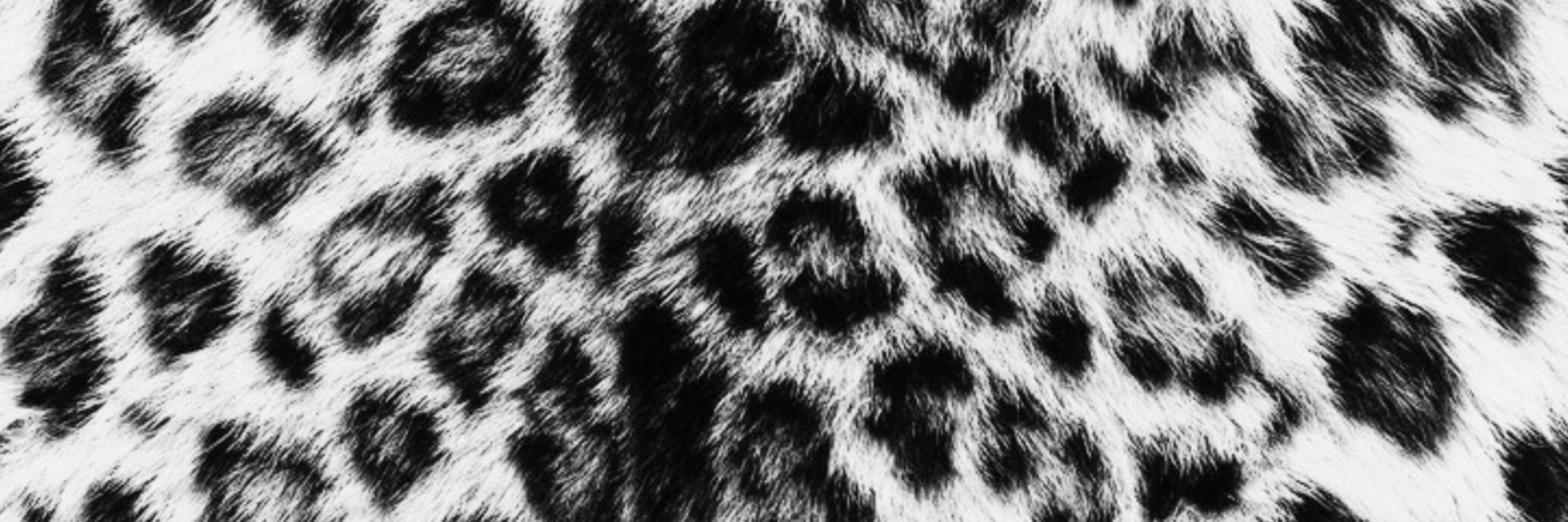 Manuela 🐆