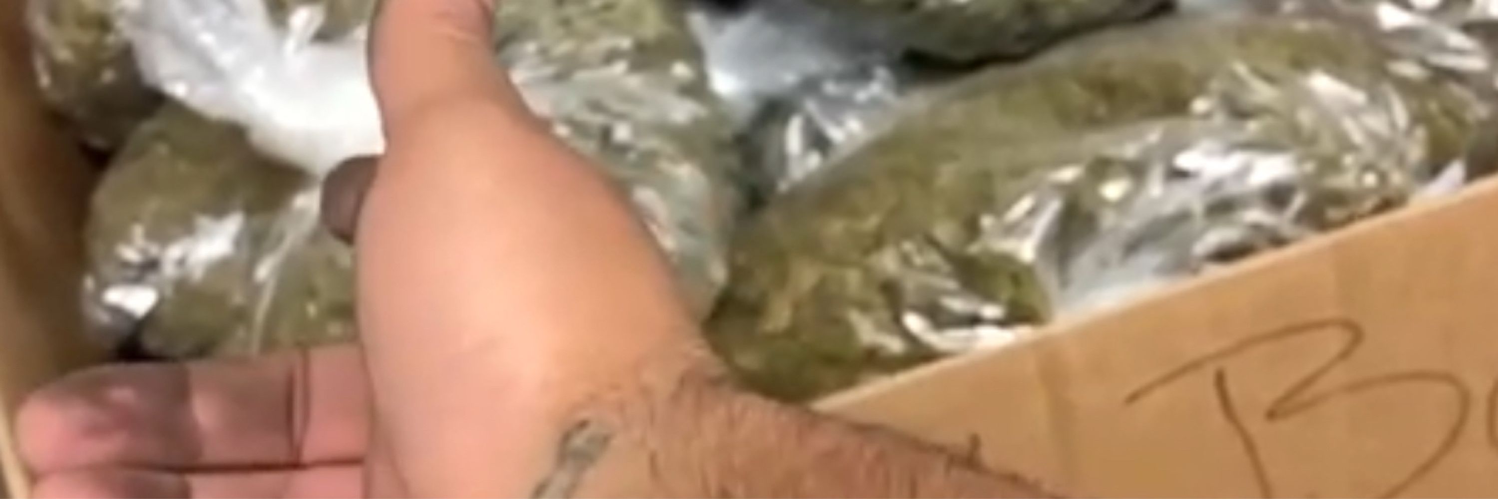 Mark four twenty