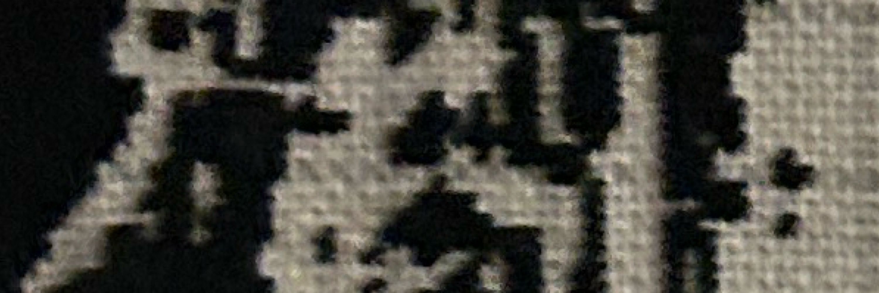 Sciura