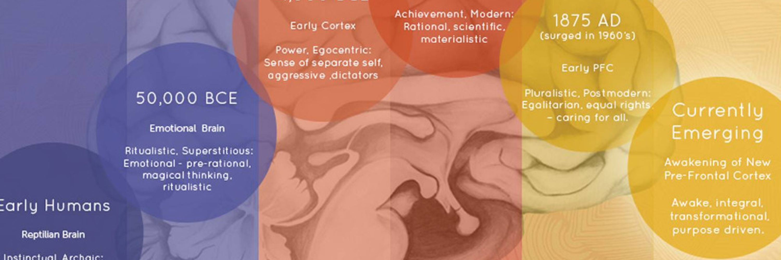 Higher Brain Living