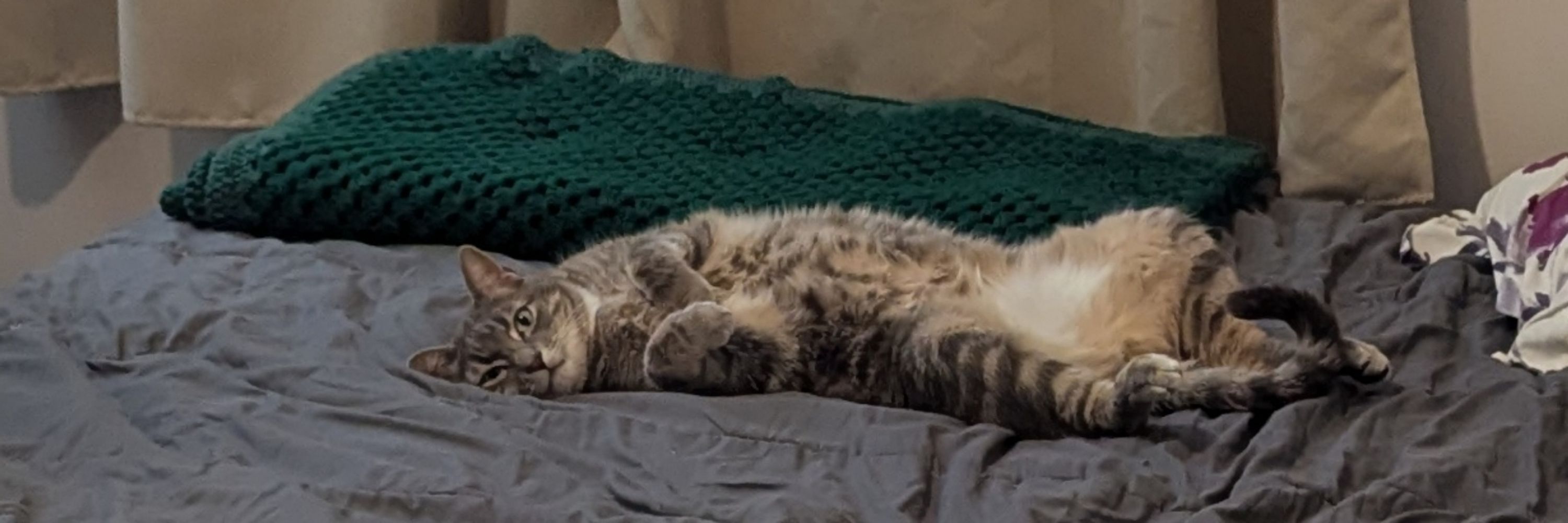 auri!