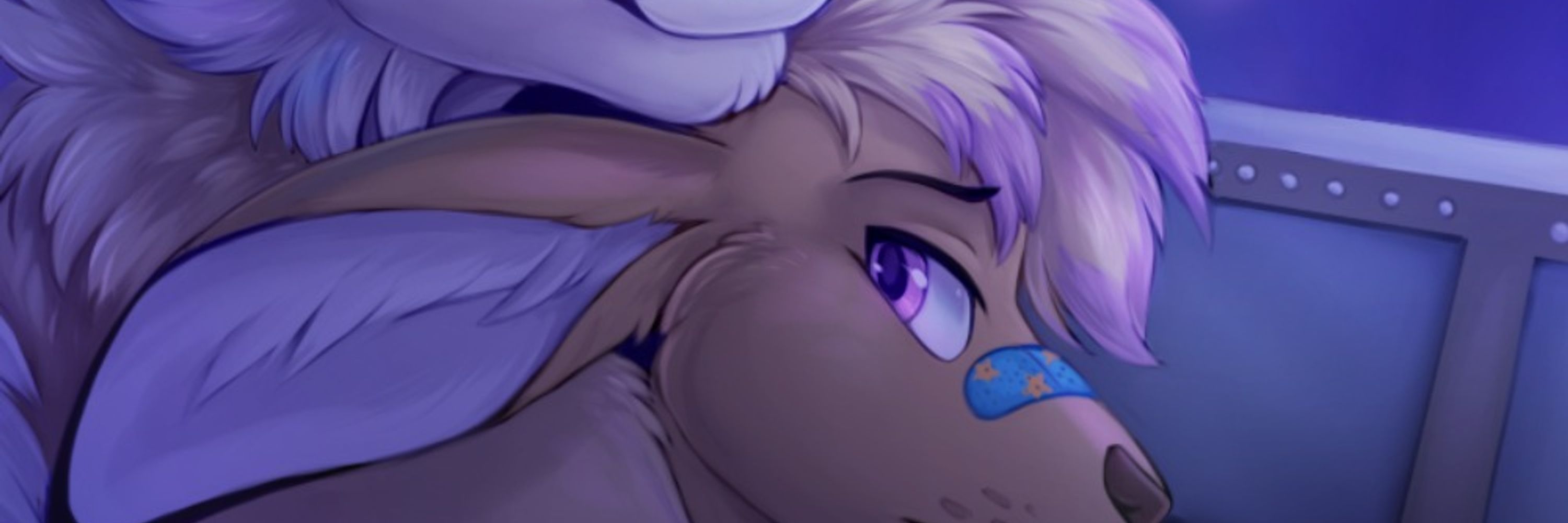 Bandaid Roo