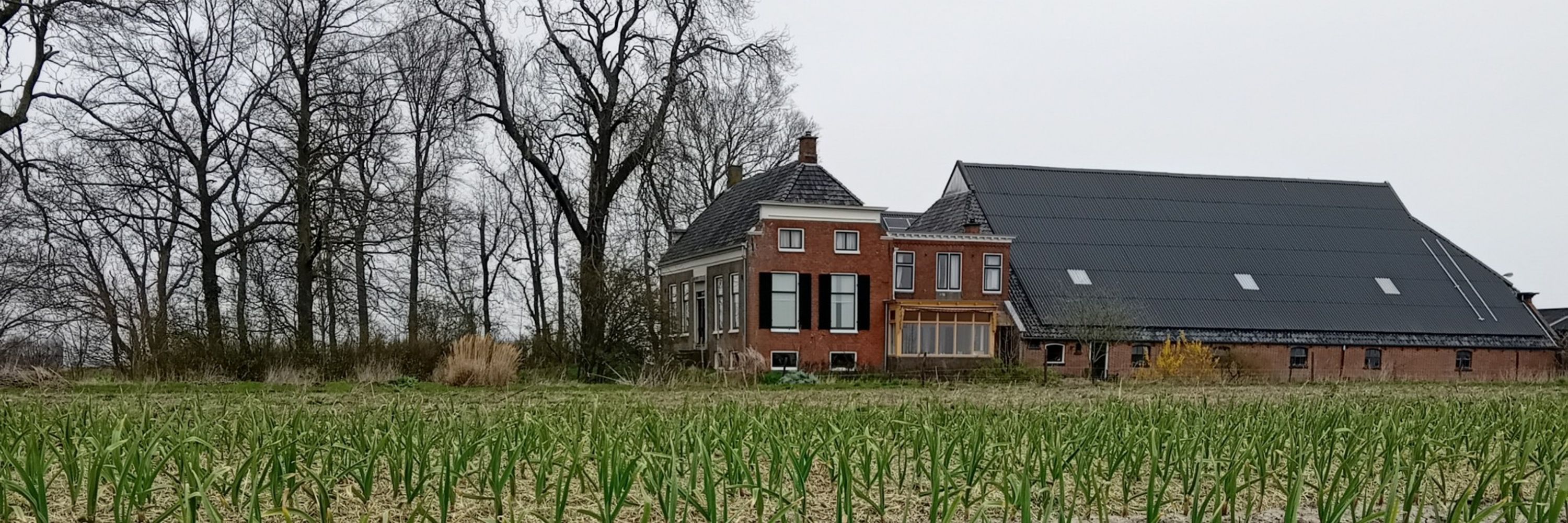 Bioboerderij Eikemaheert in Loppersum