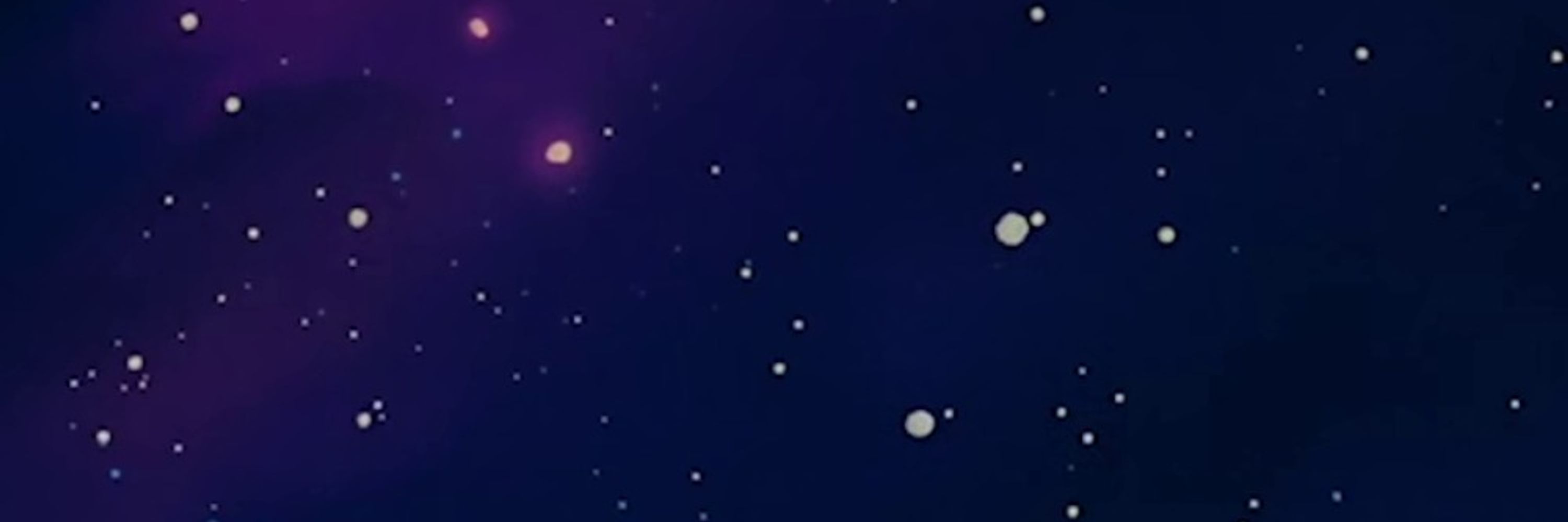 Profile banner