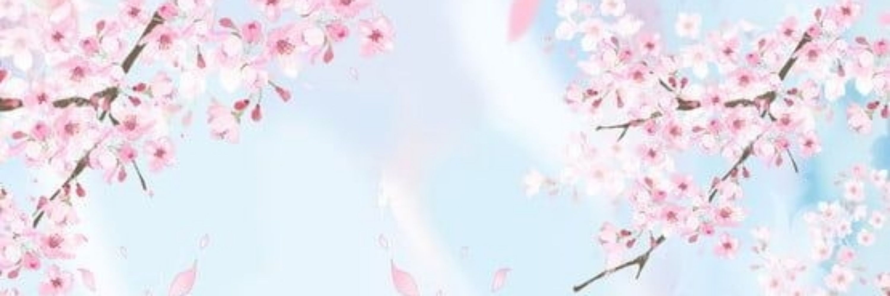 🦊0 Sem Sal 🌸⛩️☭