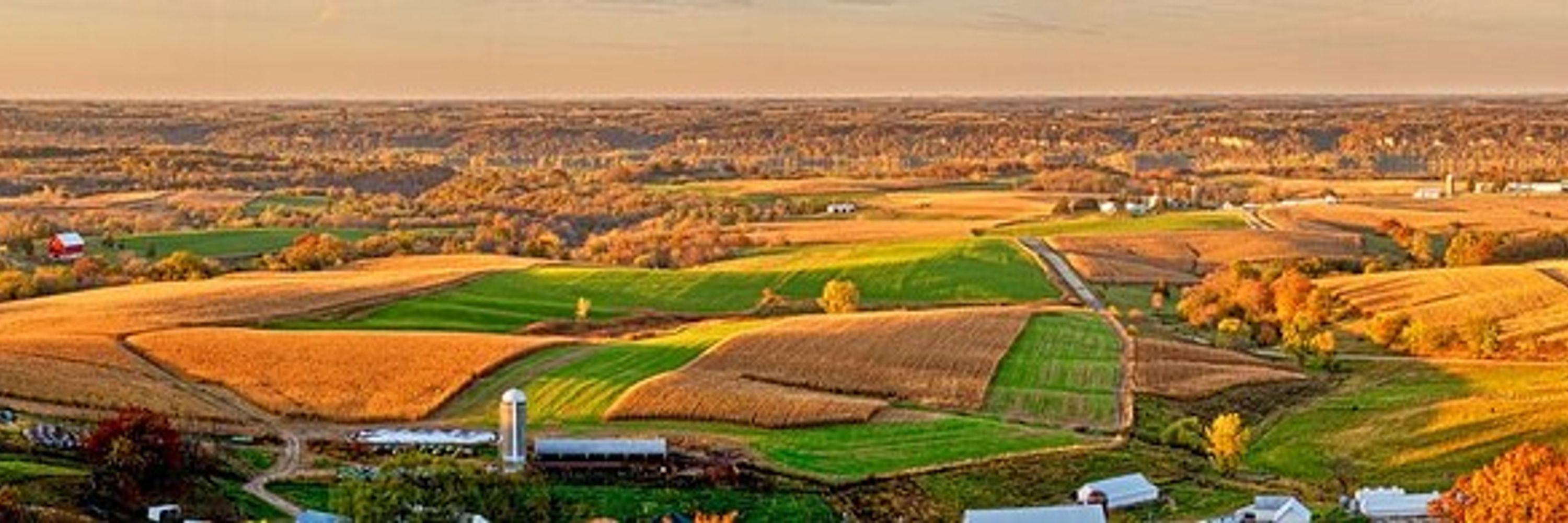 Cedar Valley Gaming