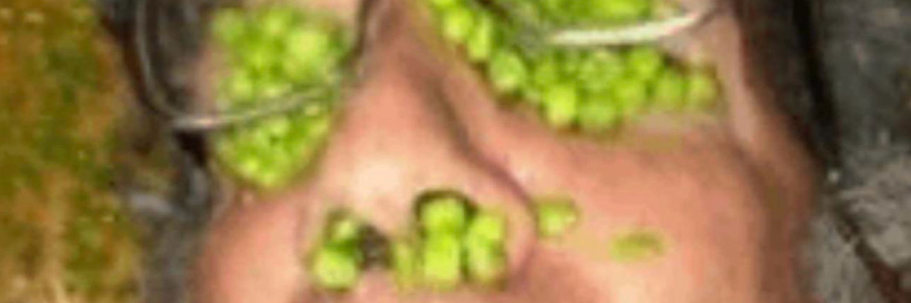 🔞Khaotix but 𝓯𝓻𝓮𝓪𝓴𝔂🔞