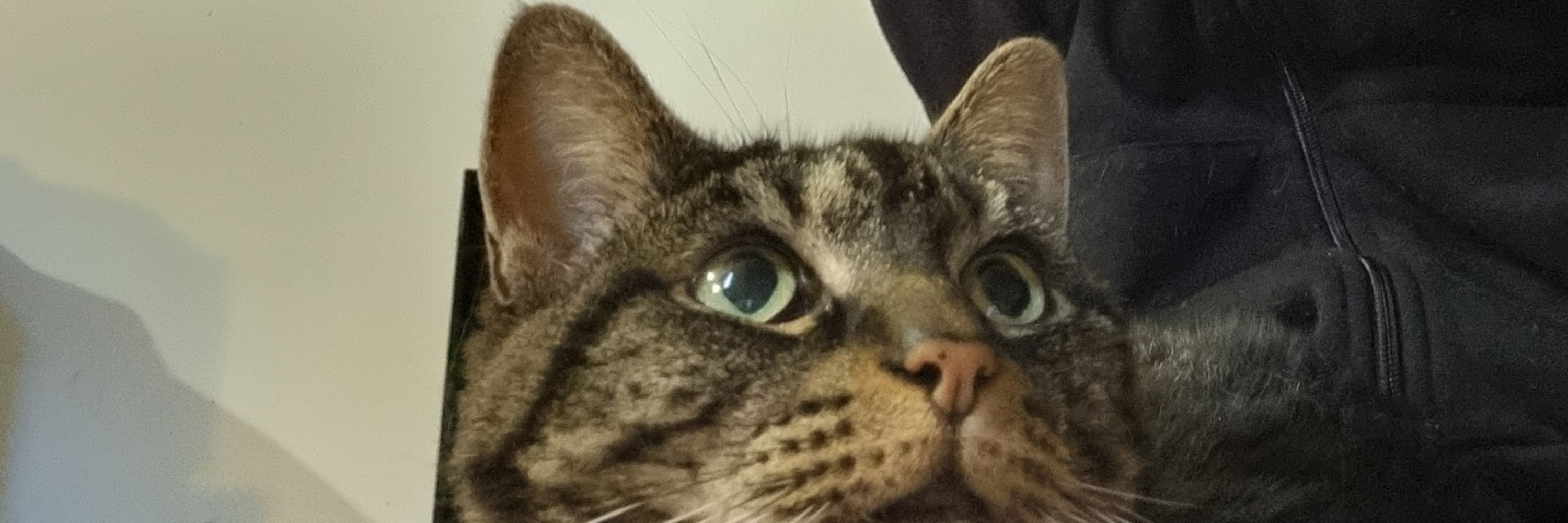 Rosie