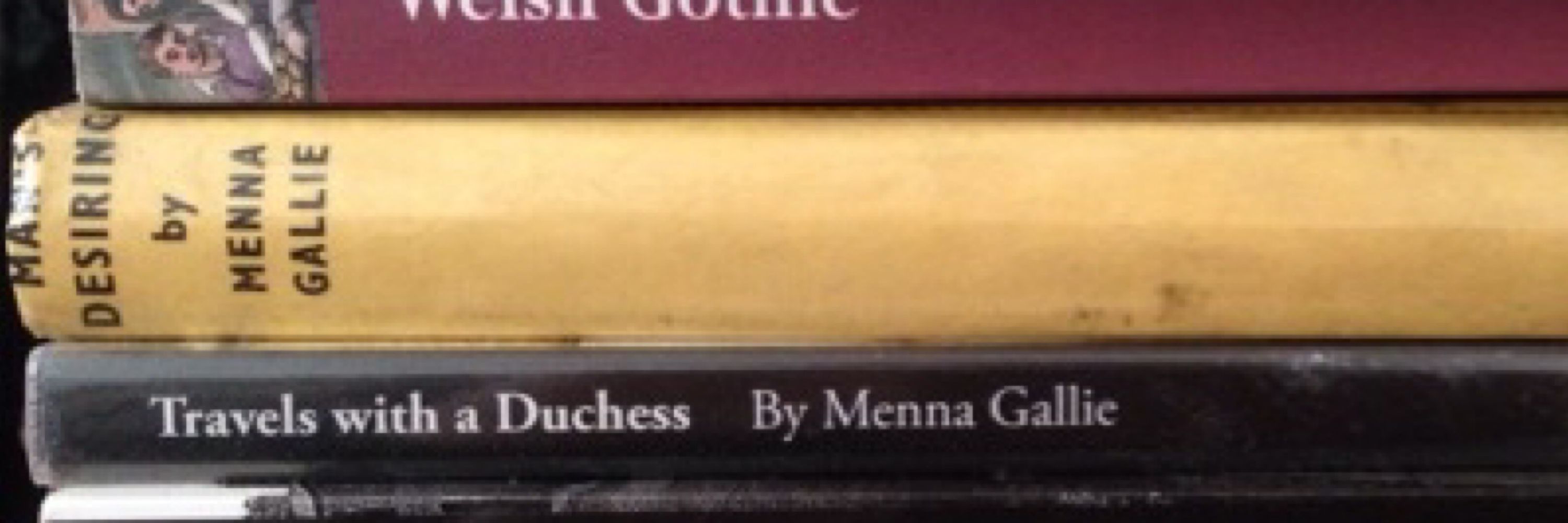 Association for Welsh Writing in English 