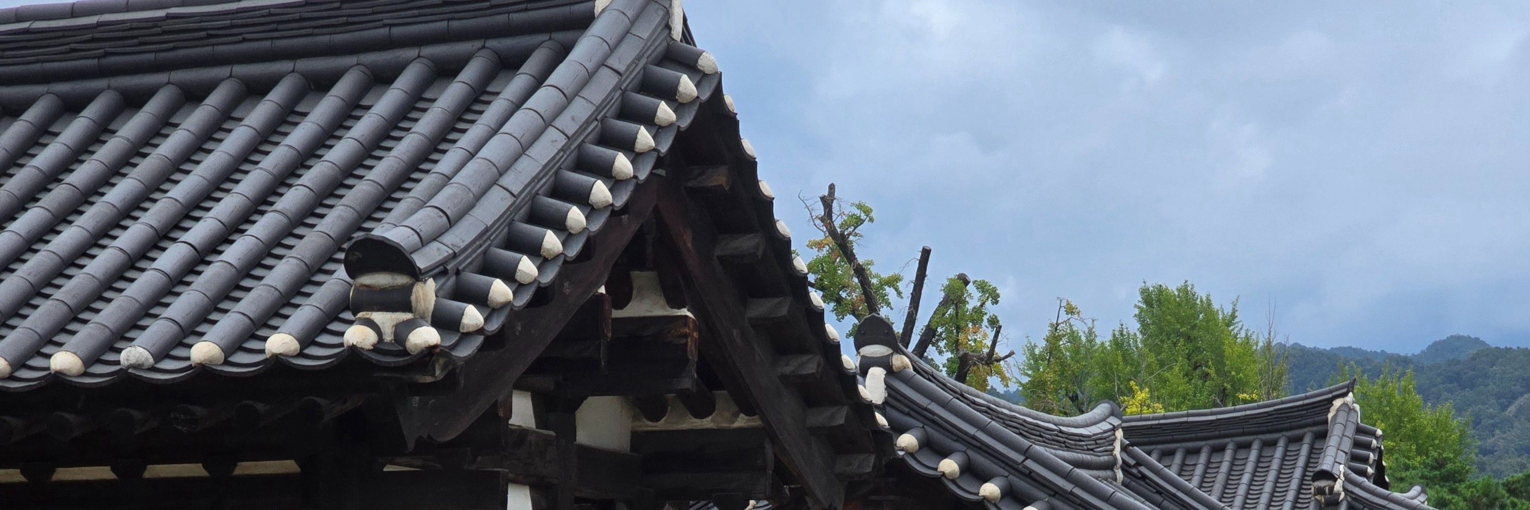 학헌 | 鶴軒 🎋