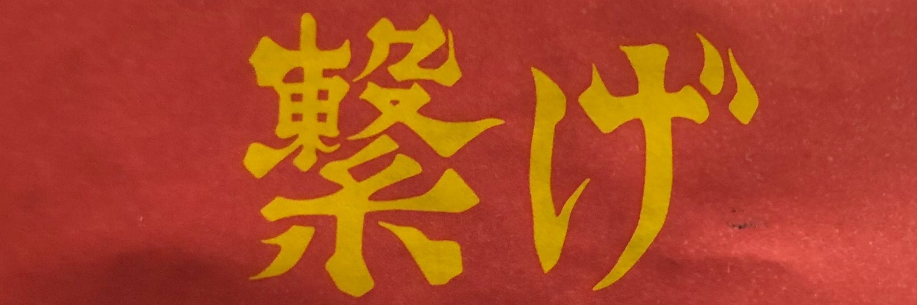 アライグマ