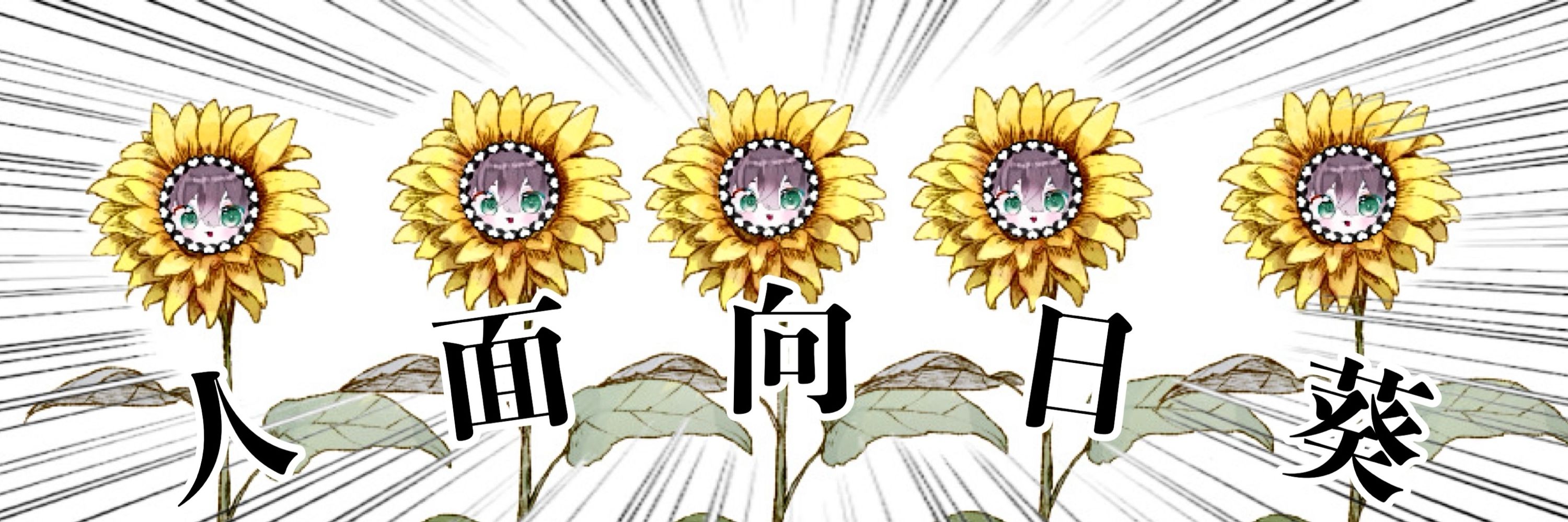 妃すん。