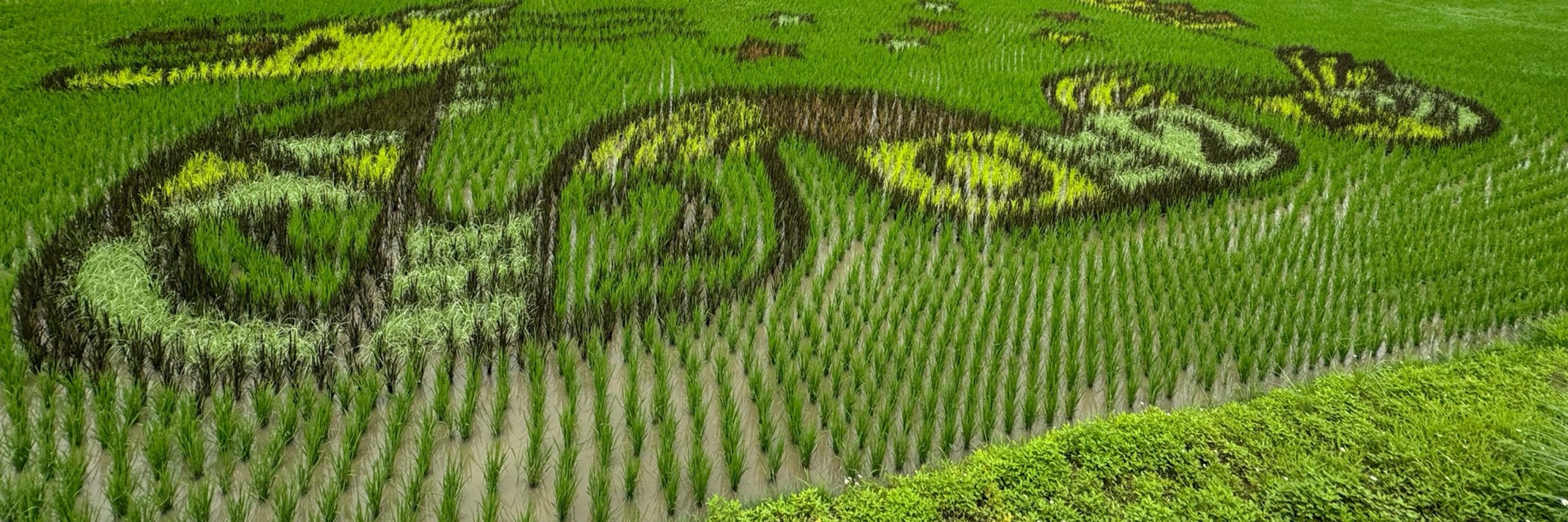 Tokutai