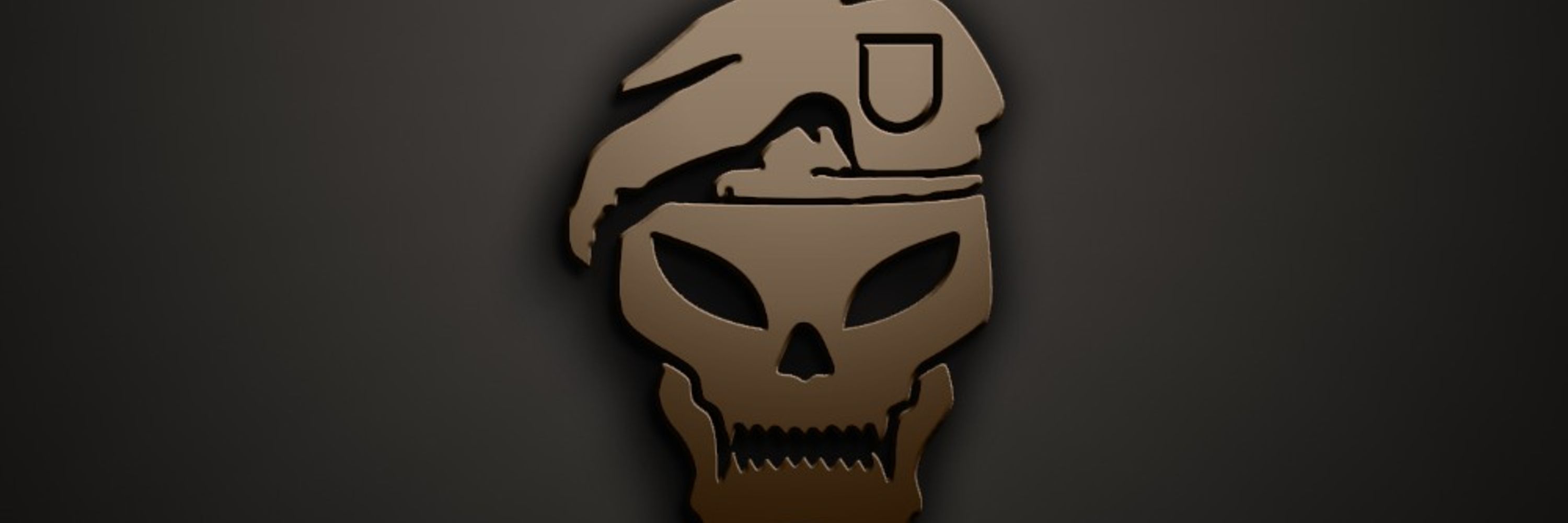 Task Force Viking