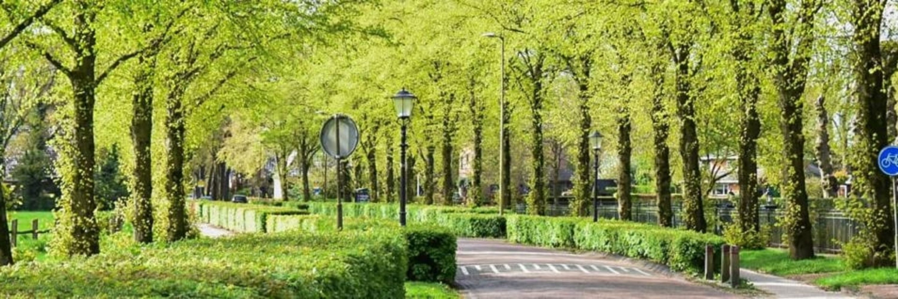 SamenDalen.nl