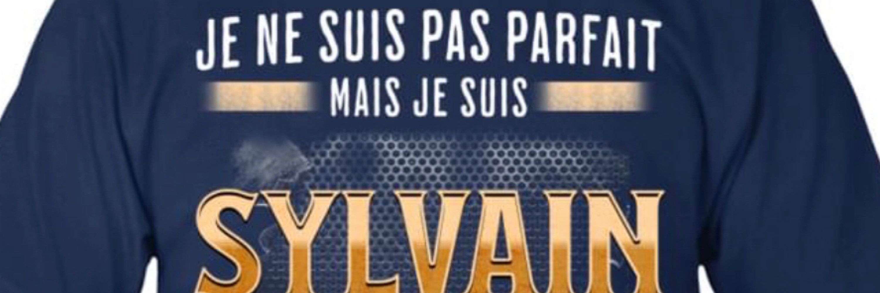 Sylvain Levesque 