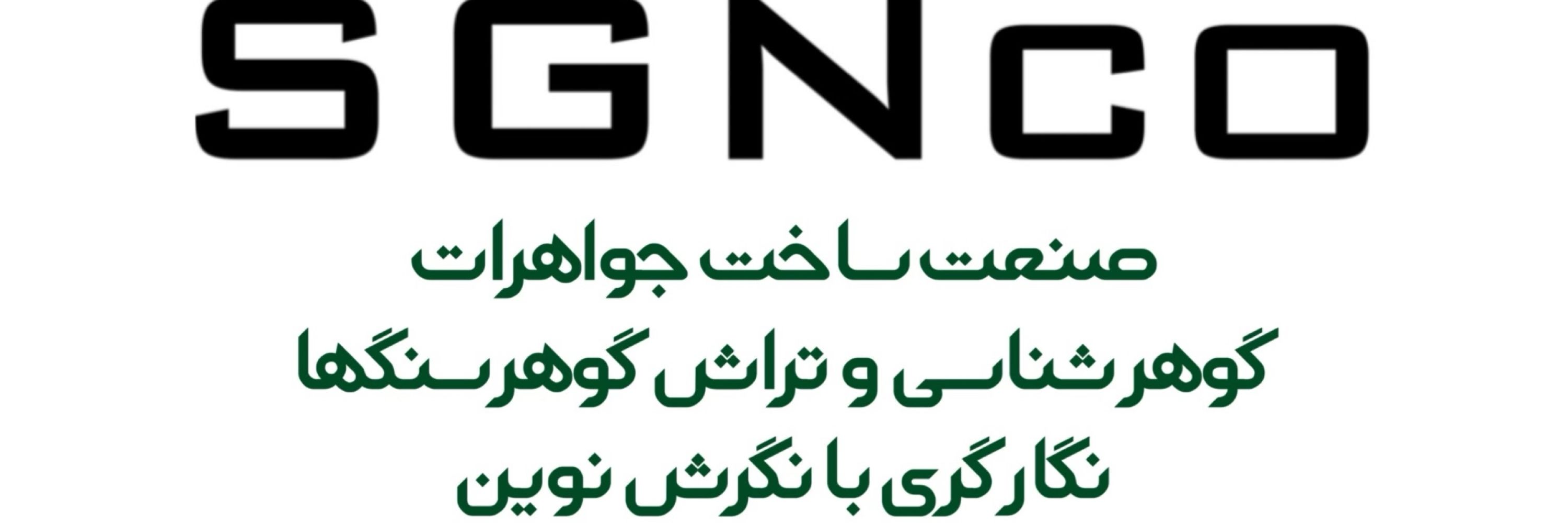 SGNco ceo
