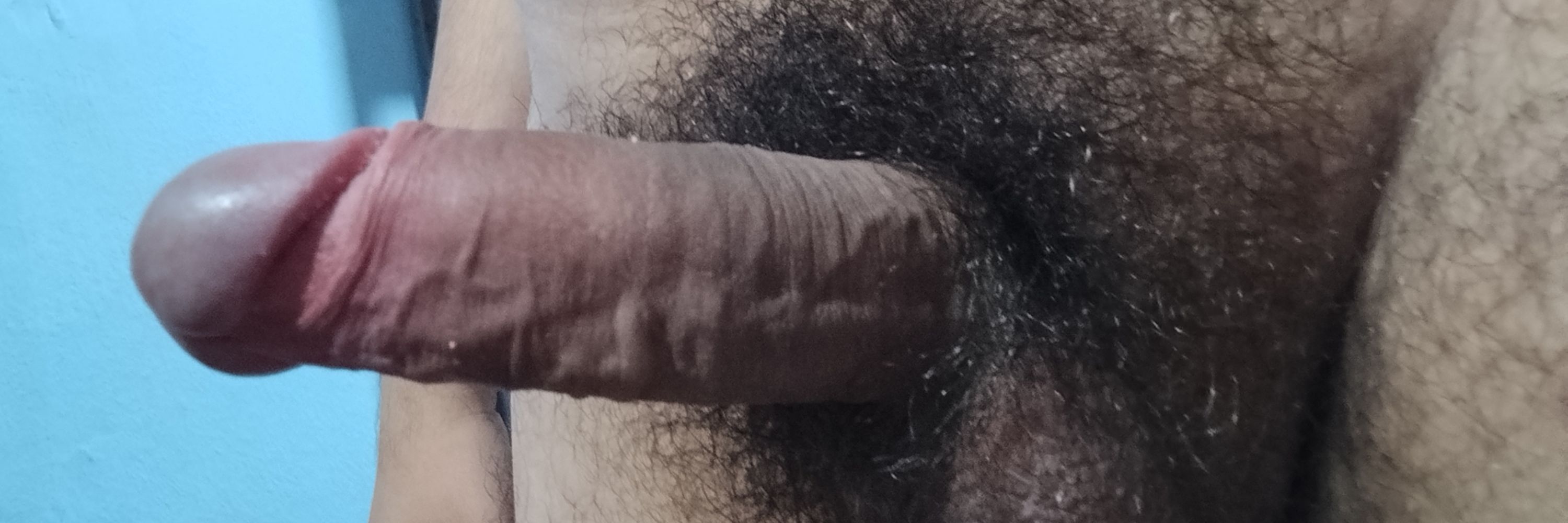 Macho Pentelhudo