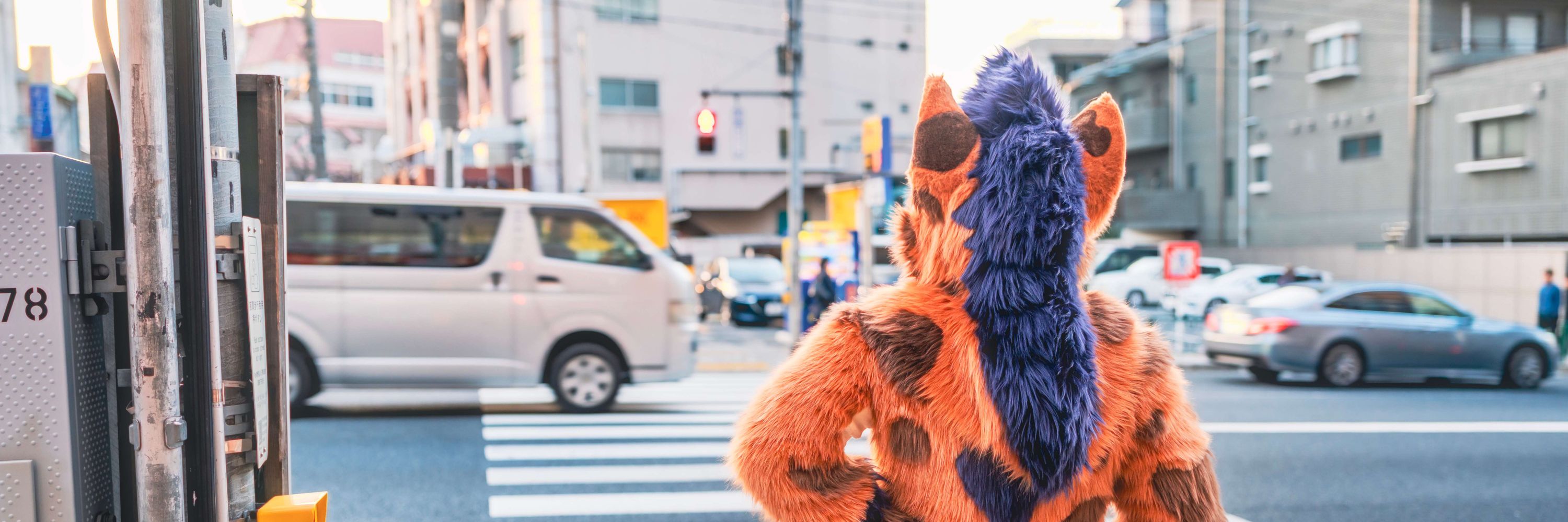 Koro 🔜 FWA, MP(?)