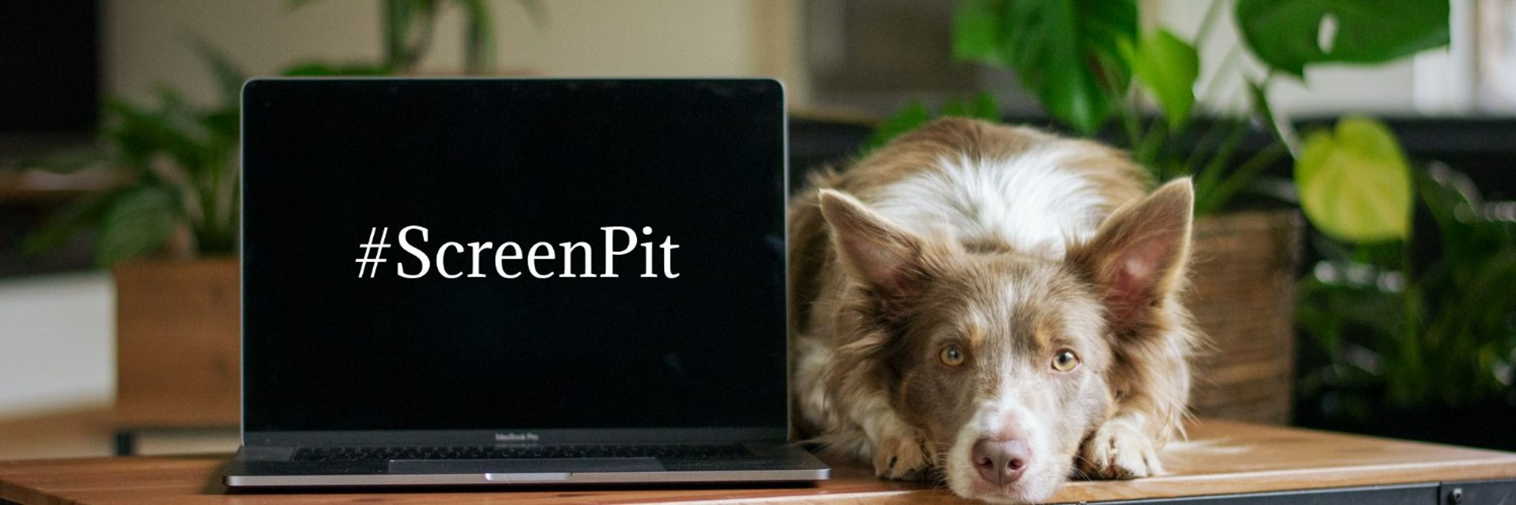 ScreenPit
